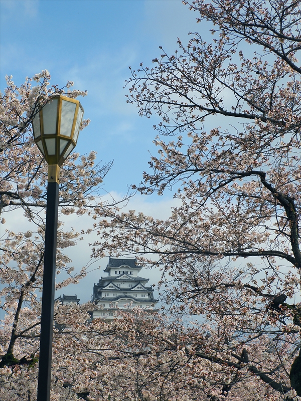 1019_姫路城_兵庫