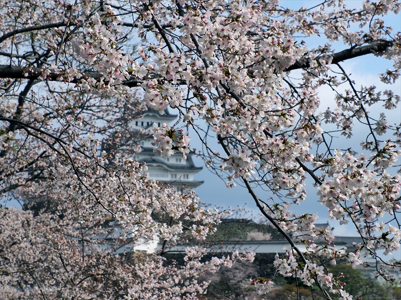 1021_姫路城_兵庫