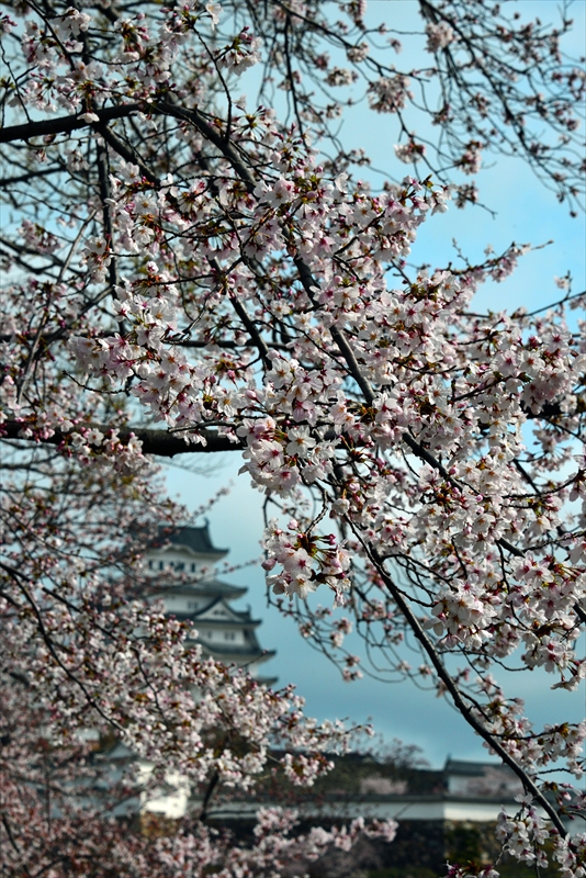 1025_姫路城_兵庫