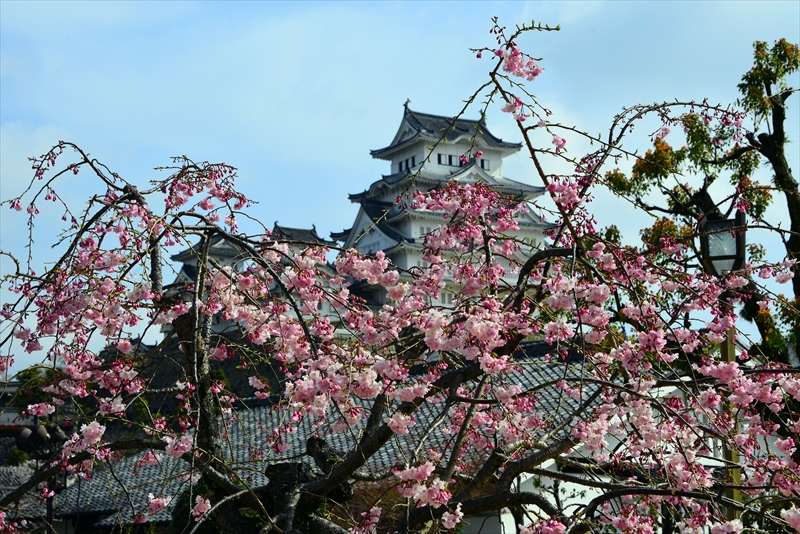 1029_姫路城_兵庫