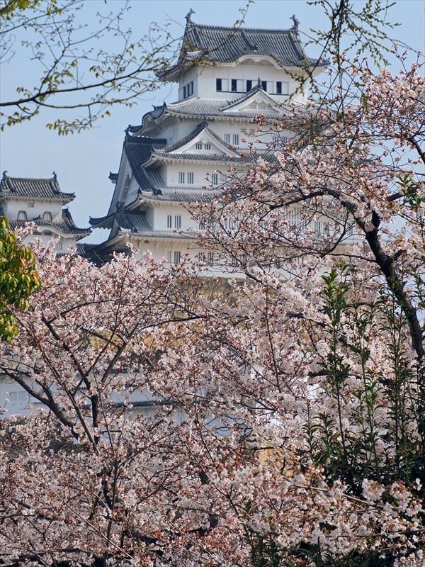 1030_姫路城_兵庫