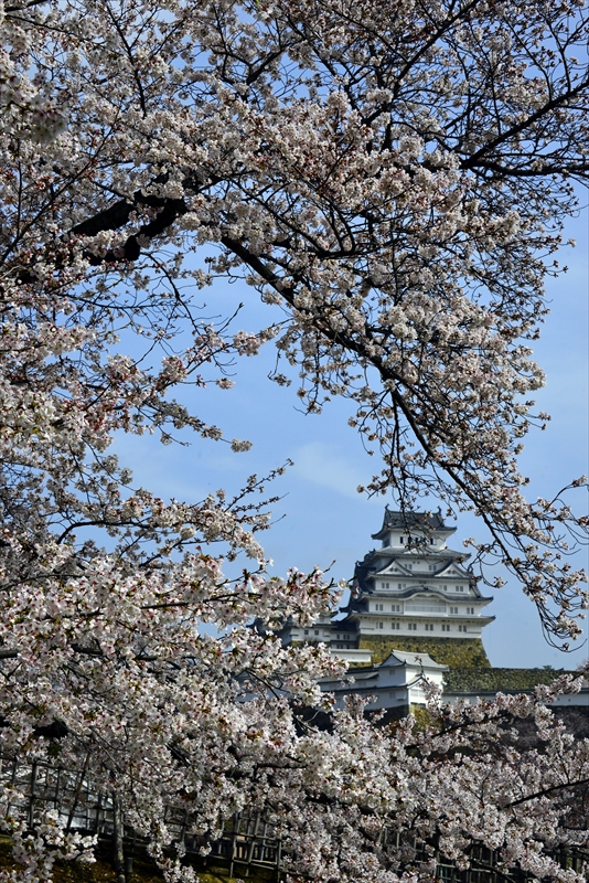 1038_姫路城_兵庫