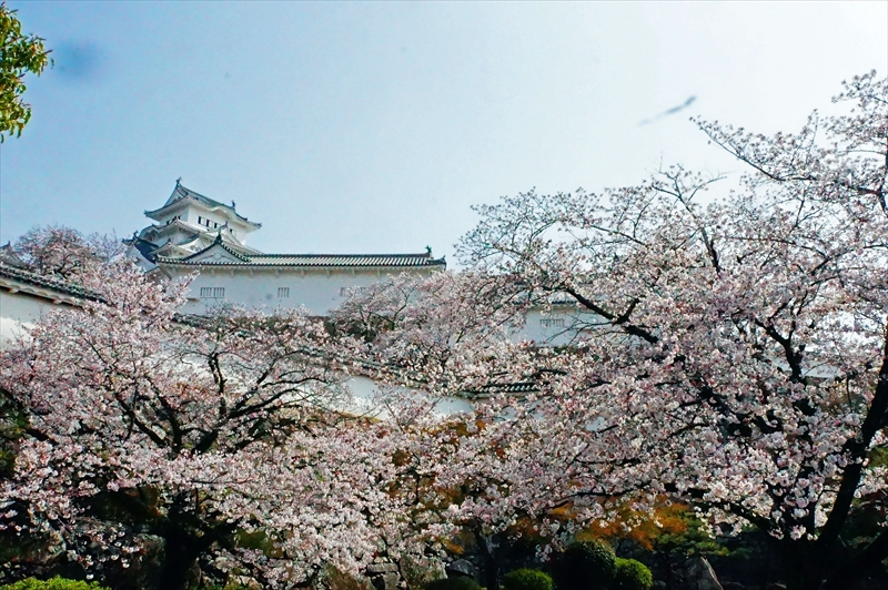 1043_姫路城_兵庫