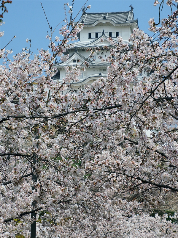 1046_姫路城_兵庫