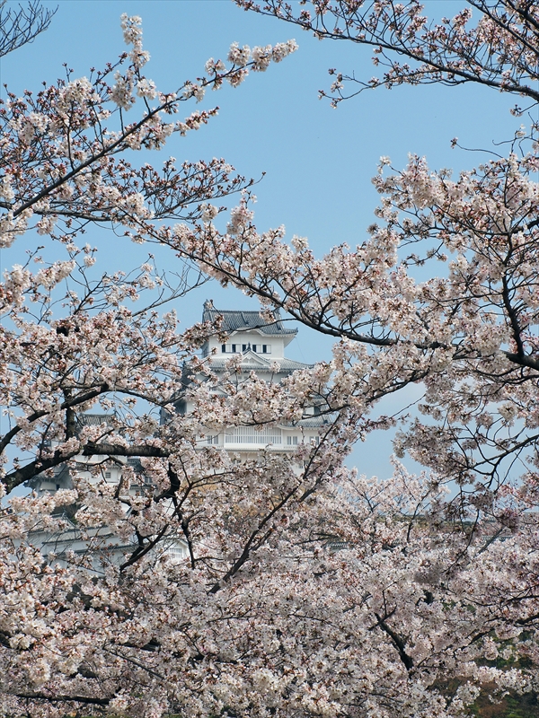 1048_姫路城_兵庫