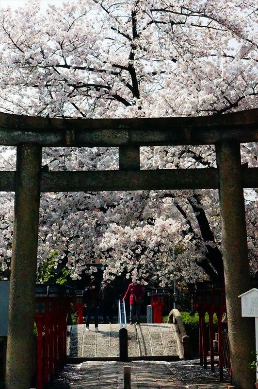 1134_洛中 六孫王神社_京都
