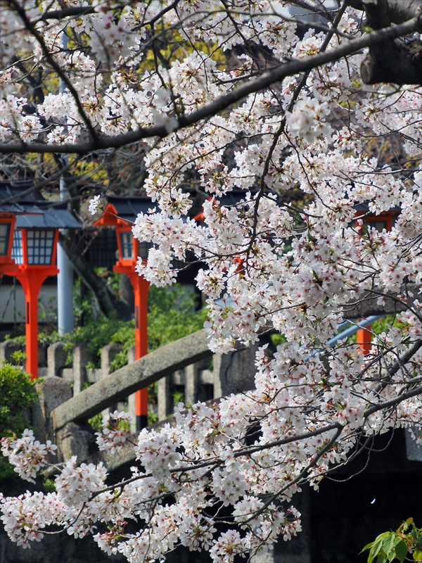1136_洛中 六孫王神社_京都