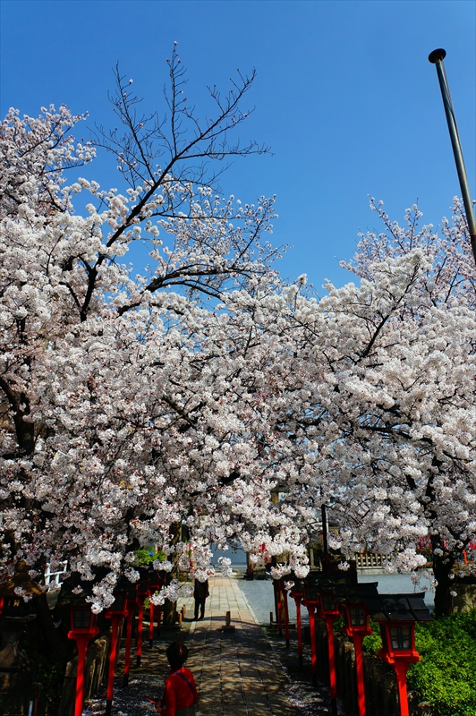 1137_洛中 六孫王神社_京都