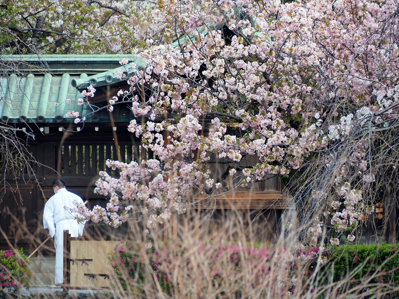 1090_三嶋大社_静岡