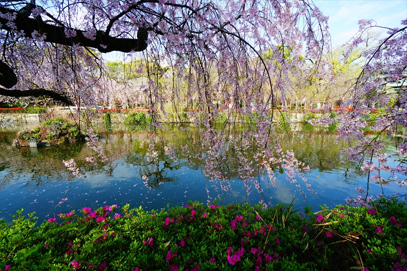 1093_三嶋大社_静岡