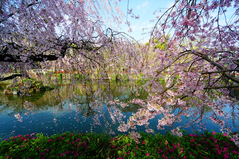 1094_三嶋大社_静岡