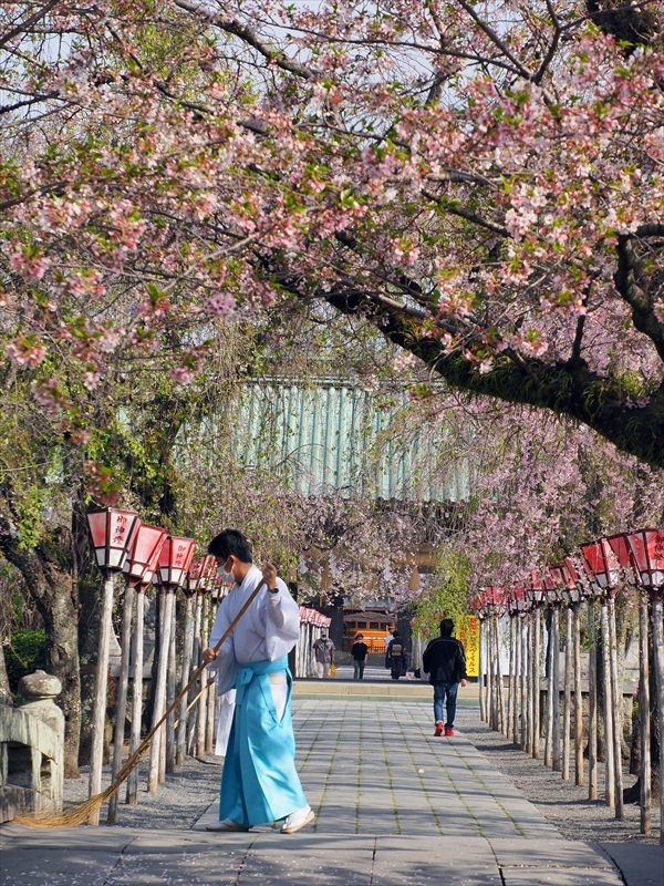 1095_三嶋大社_静岡