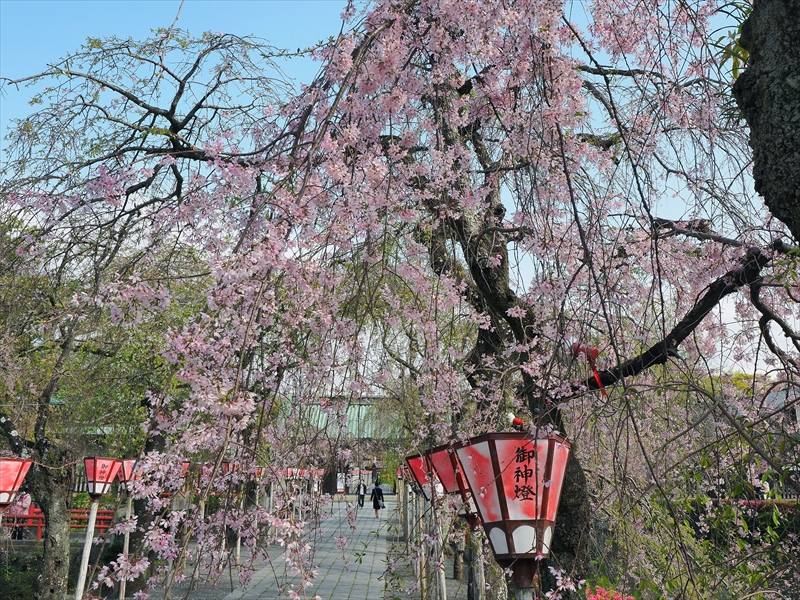 1100_三嶋大社_静岡