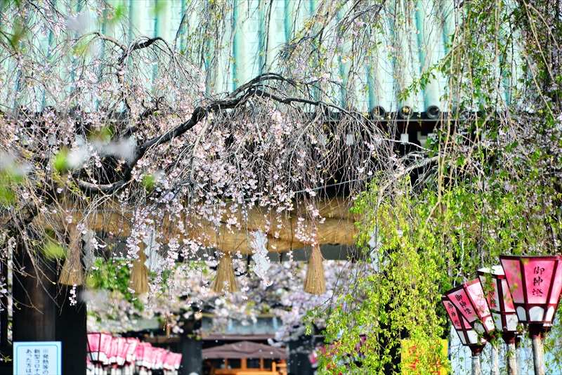 1102_三嶋大社_静岡