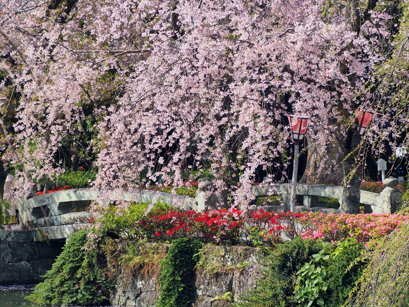 1109_三嶋大社_静岡