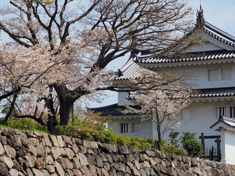 1111_駿府城_静岡