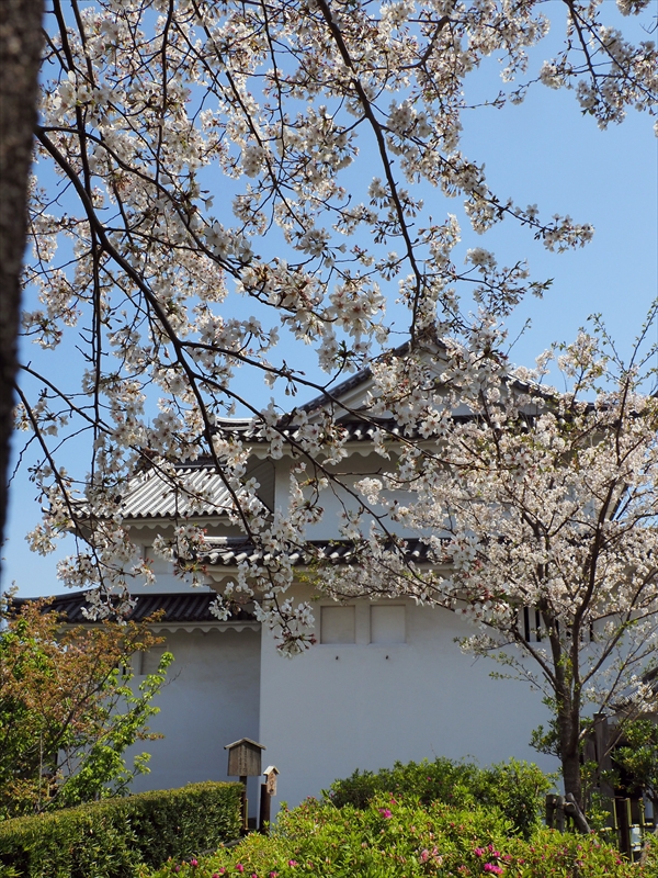 1116_駿府城_静岡