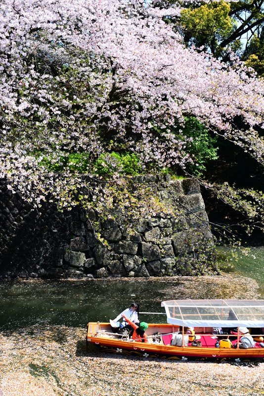 1122_駿府城_静岡