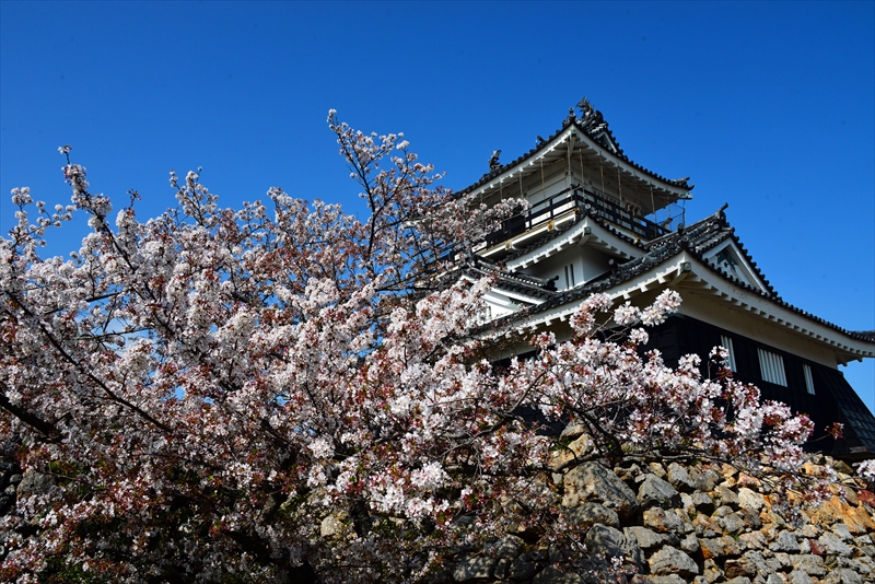 1134_浜松城_静岡