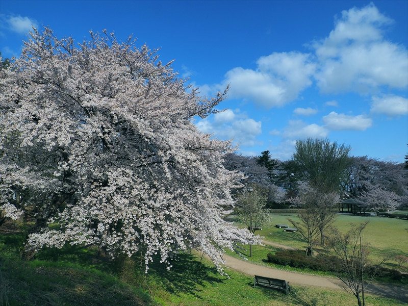 1002_霞城公園_山形
