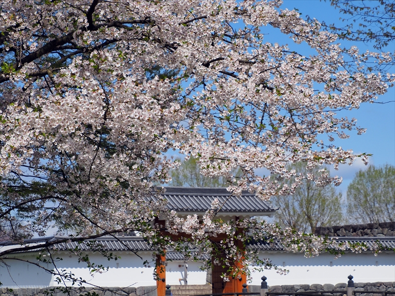 1006_霞城公園_山形