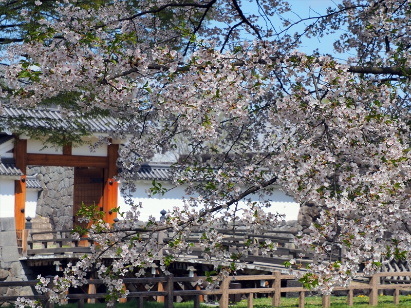1009_霞城公園_山形