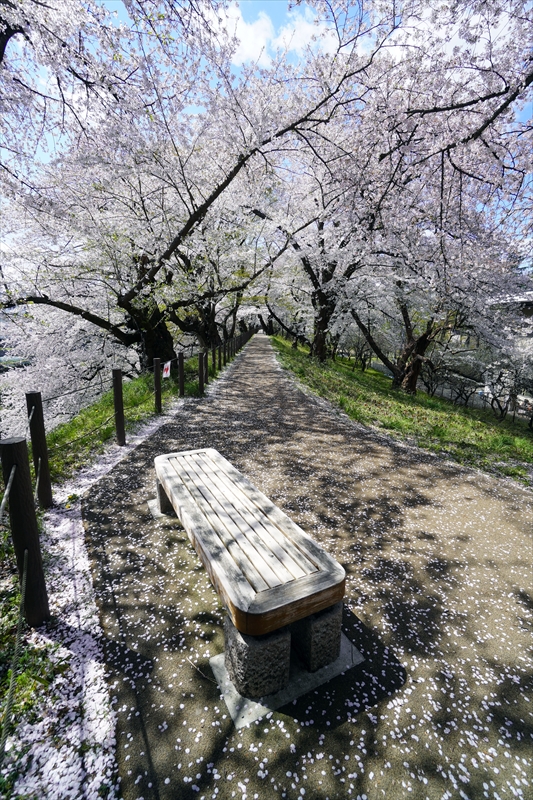 1028_霞城公園_山形