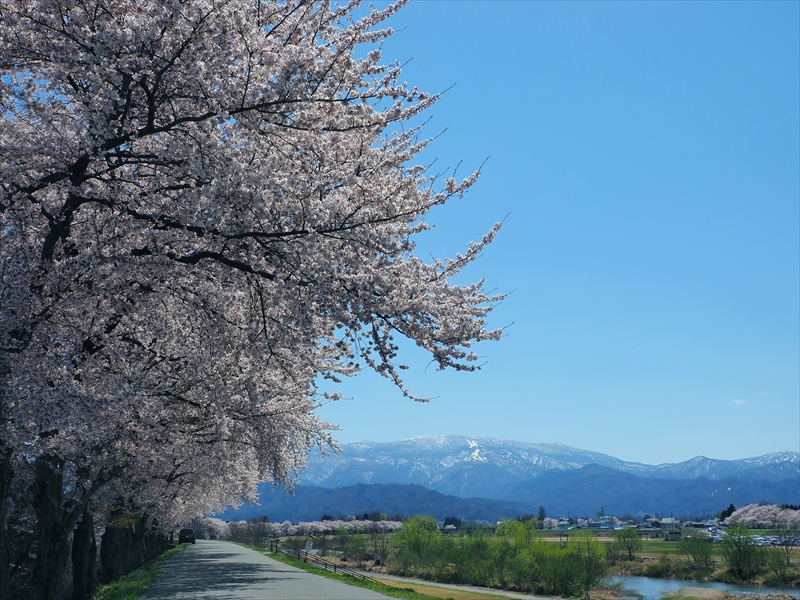 1082_最上川河川敷_山形