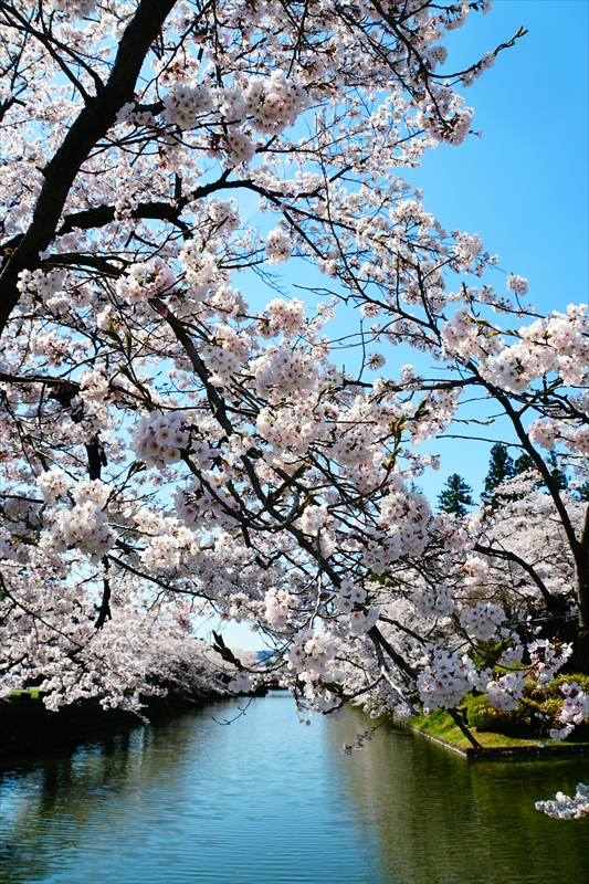 1055_上杉神社_山形