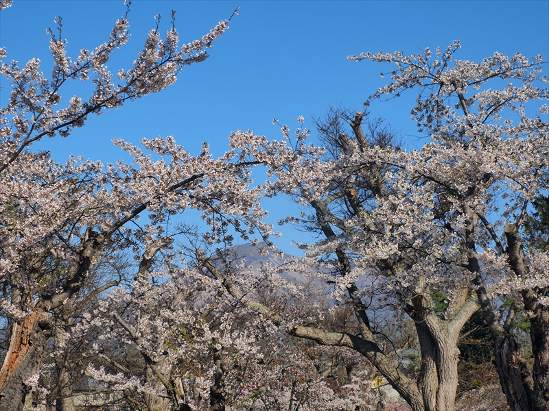 1003_森町オニウシ公園_北海道