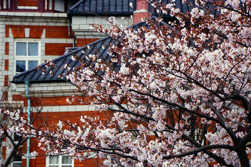 1064_門司港_福岡