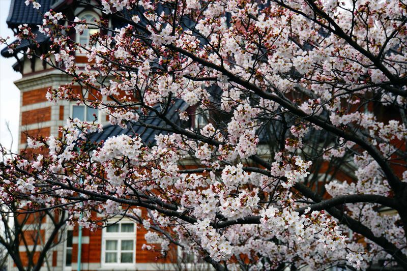 1066_門司港_福岡