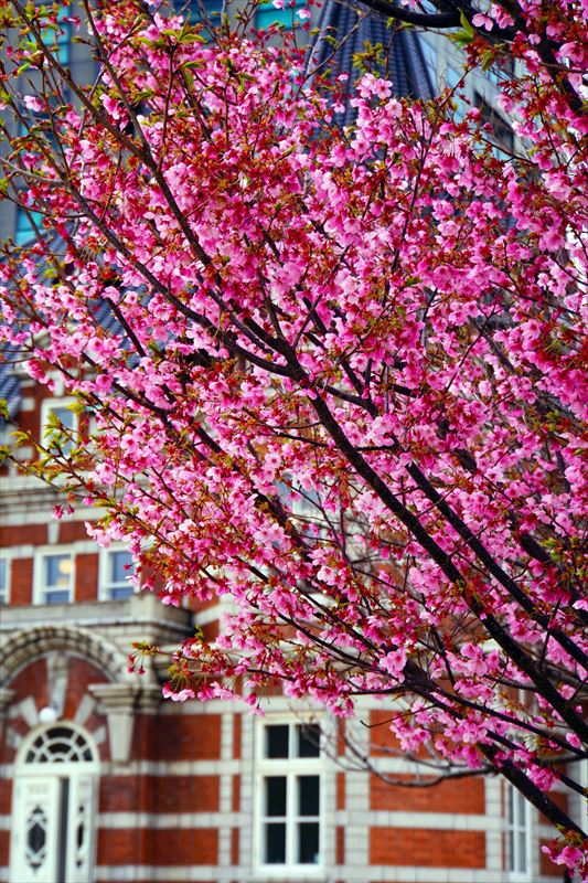 1068_門司港_福岡