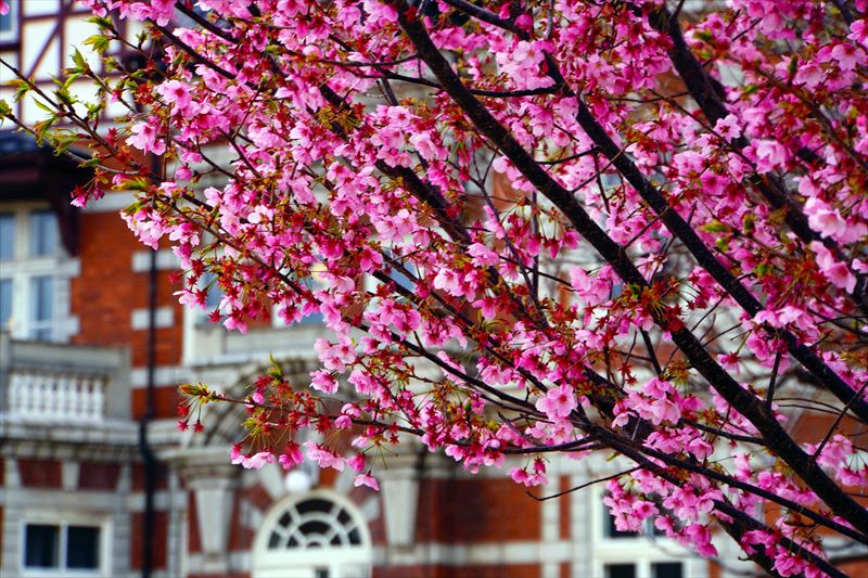 1069_門司港_福岡