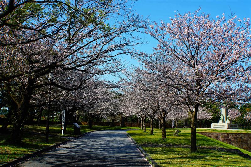 1012_石橋記念公園_鹿児島