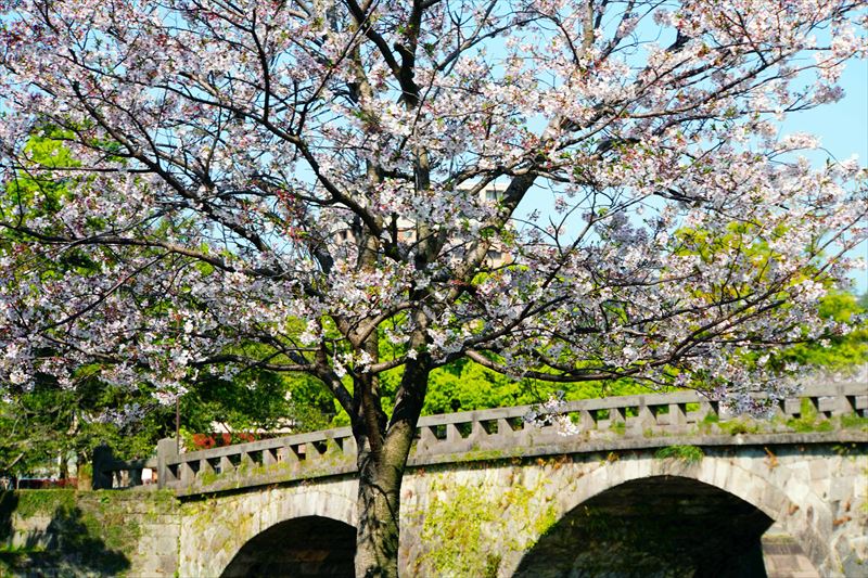 1014_石橋記念公園_鹿児島