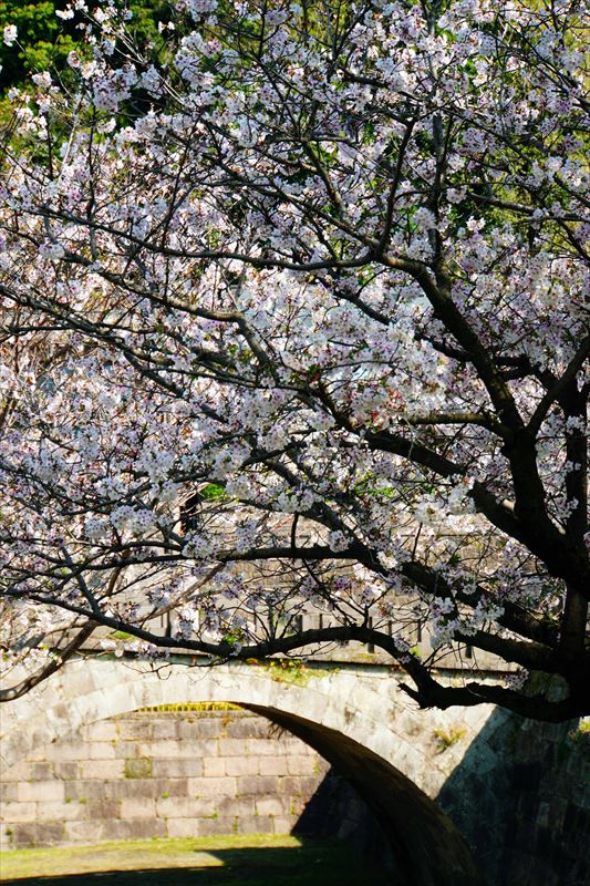 1015_石橋記念公園_鹿児島