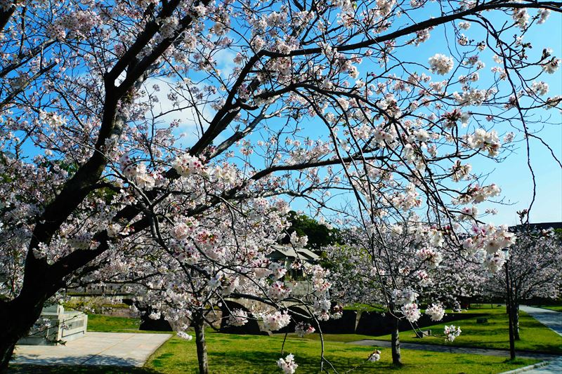 1020_石橋記念公園_鹿児島