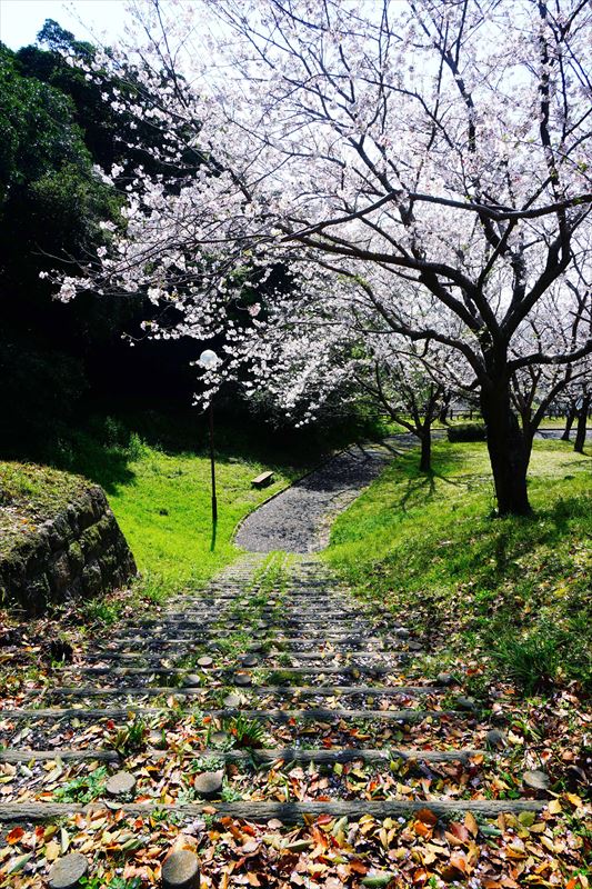 1003_多賀山公園_鹿児島