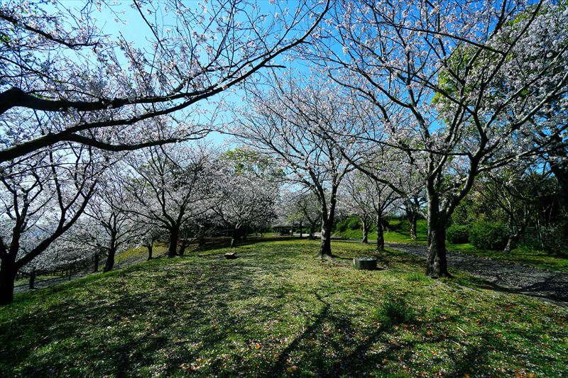 1004_多賀山公園_鹿児島