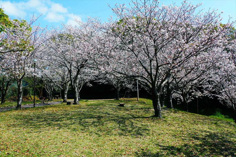 1005_多賀山公園_鹿児島