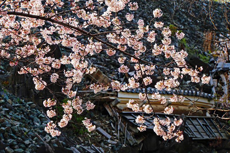 1004_熊本城_熊本