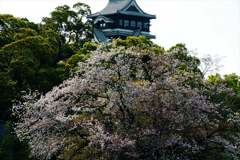 1012_熊本城_熊本