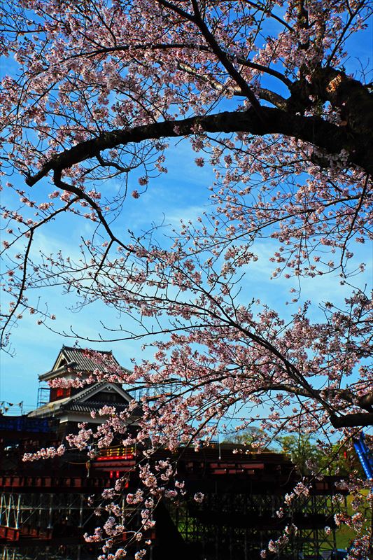 1014_熊本城_熊本