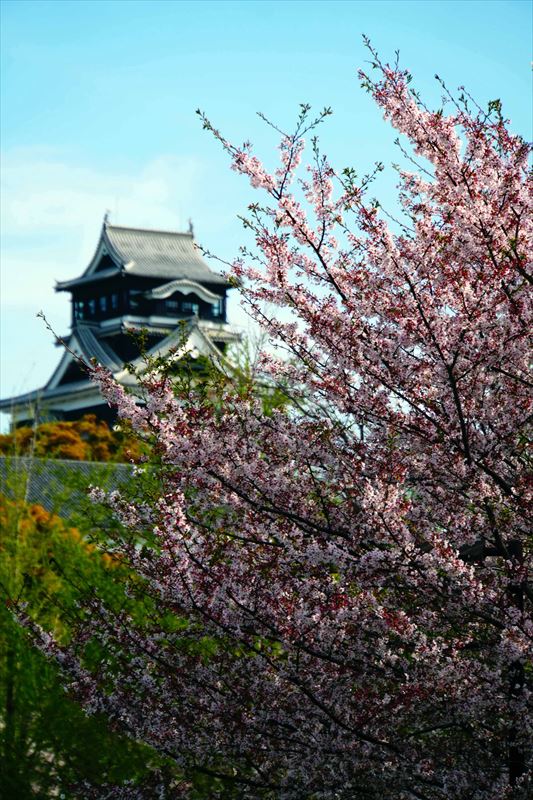 1016_熊本城_熊本