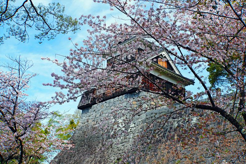 1018_熊本城_熊本