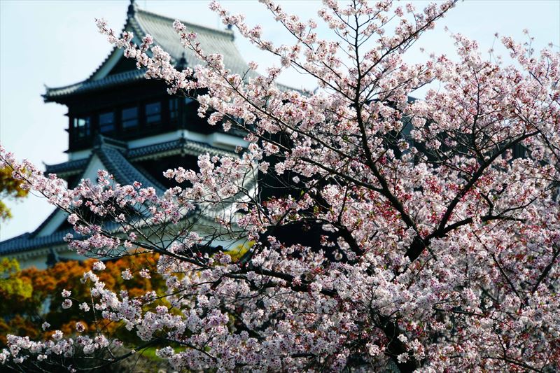 1020_熊本城_熊本