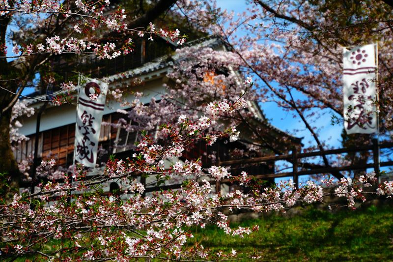 1022_熊本城_熊本