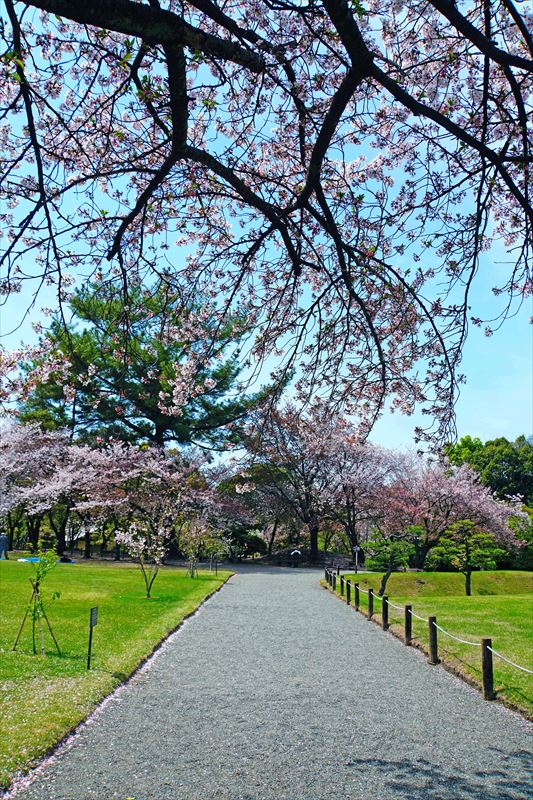 1024_水前寺公園_熊本