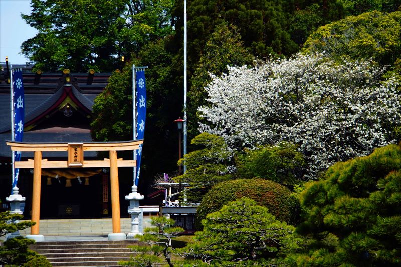 1026_水前寺公園_熊本